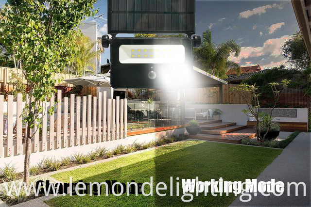 Garden Solar Motion Sensor Lights